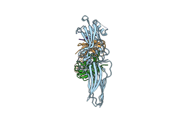 8TIO image