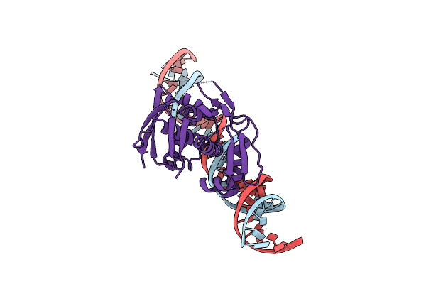 8TIV image
