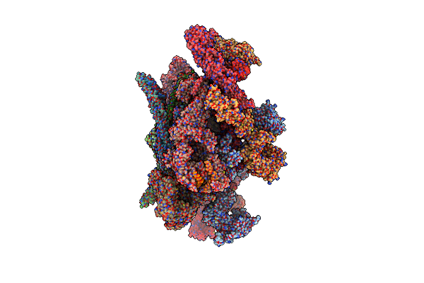 8TJ5 image