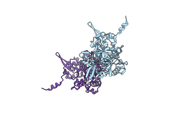 8TKA image