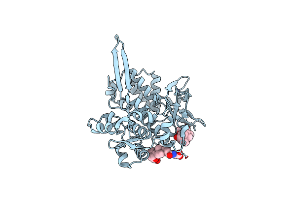8TL1 image