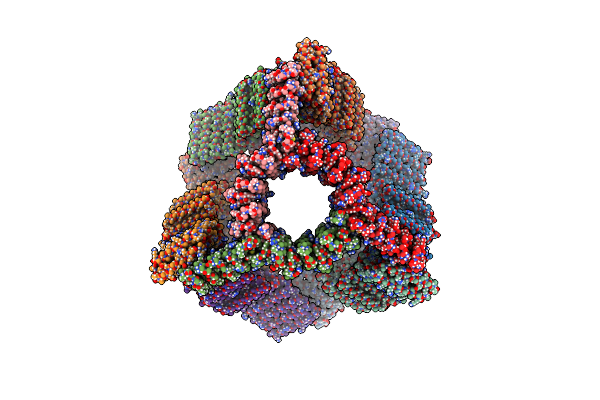 8TL7 image