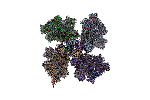 8TL9 image