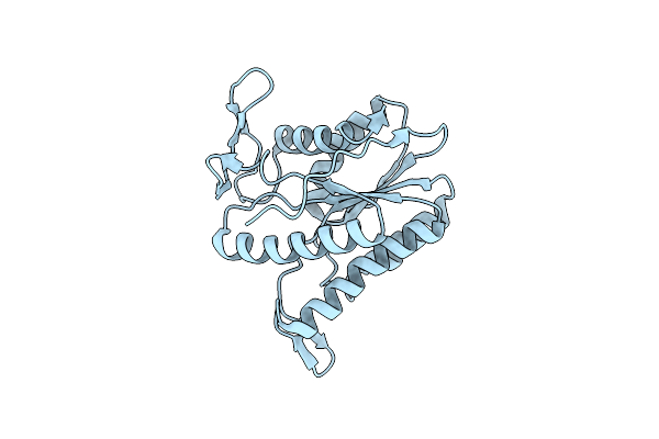 8TLB image