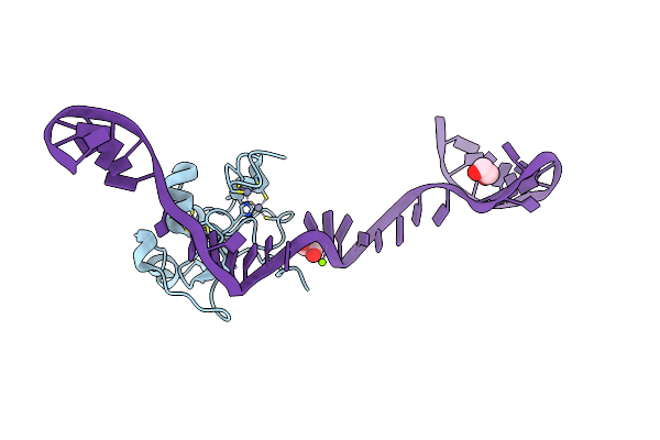 8TLG image