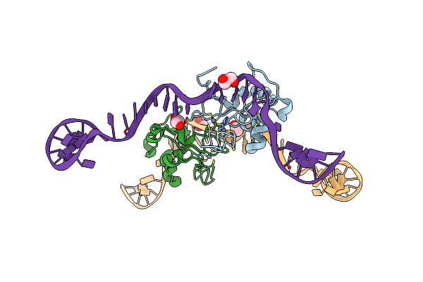 8TLK image
