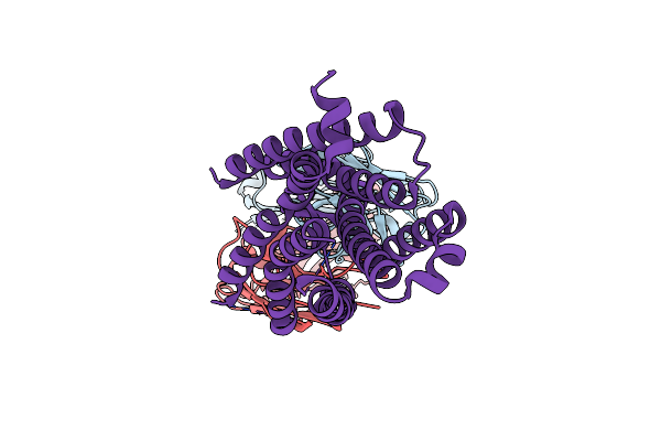 8TLM image