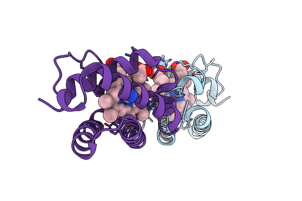 8TLS image