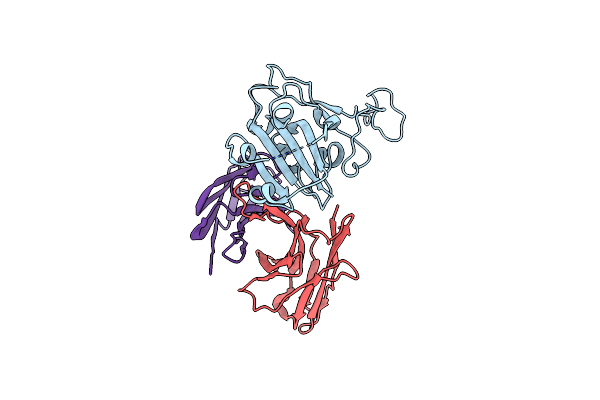 8TMA image