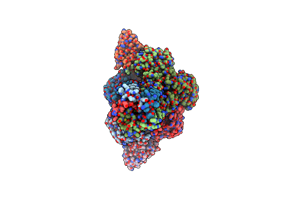 8TMC image