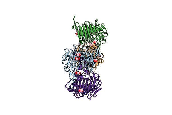 8TMS image