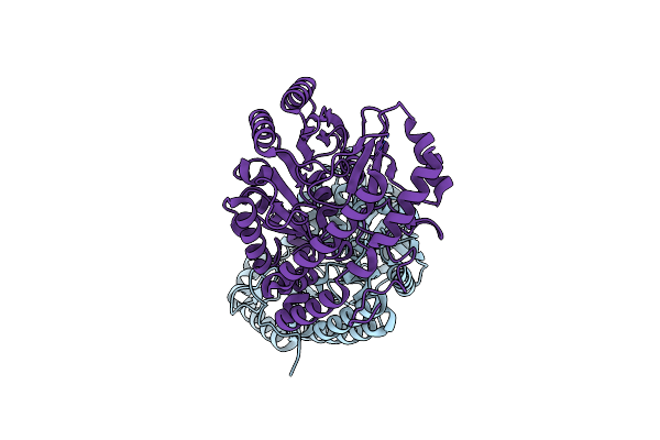 8TN2 image