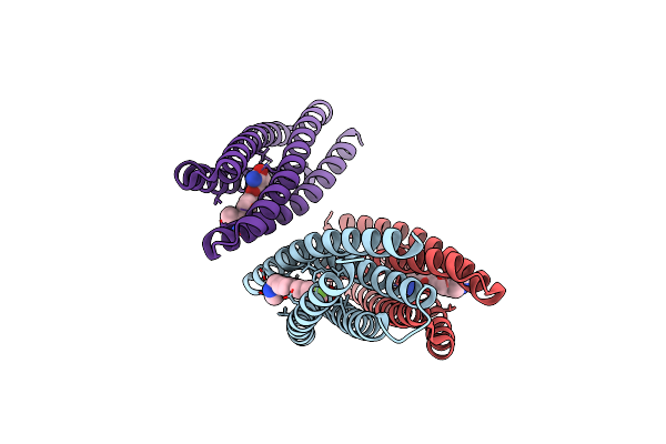 8TNB image