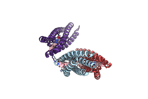 8TNC image