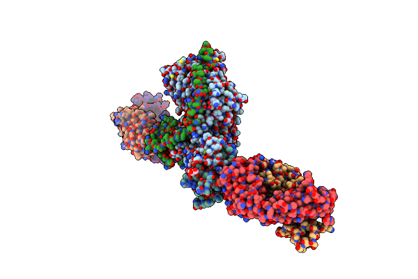 8TNT image