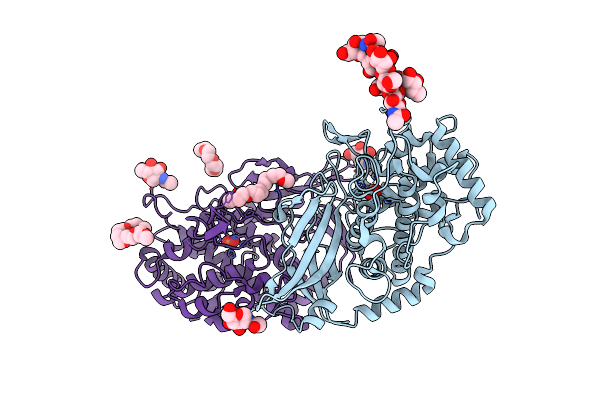 8TNV image