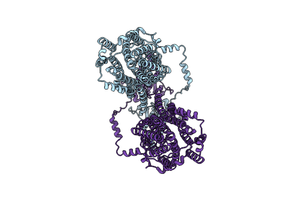 8TNW image