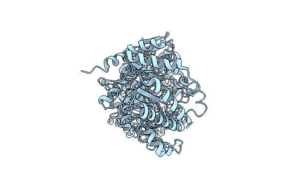 8TOH image