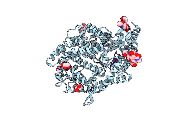 8TOR image
