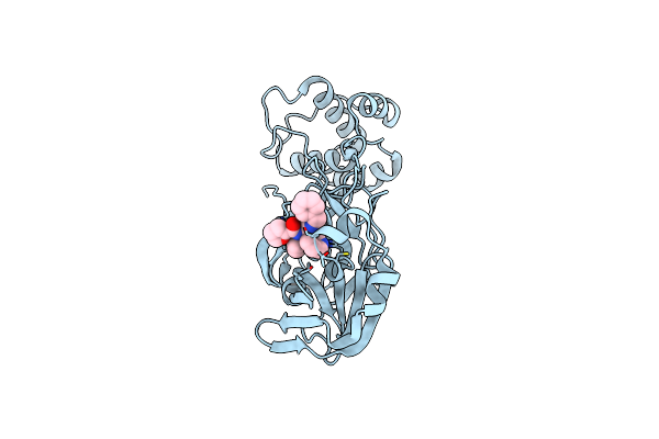 8TPD image