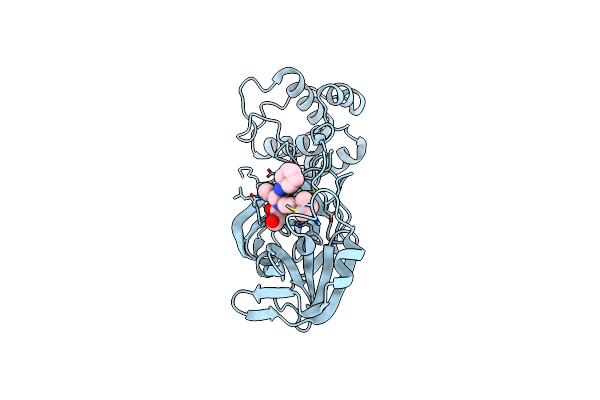 8TPF image
