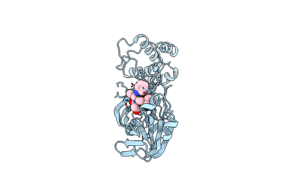 8TPG image