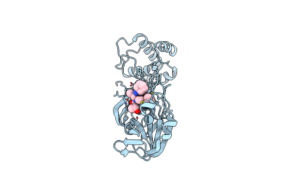 8TPH image
