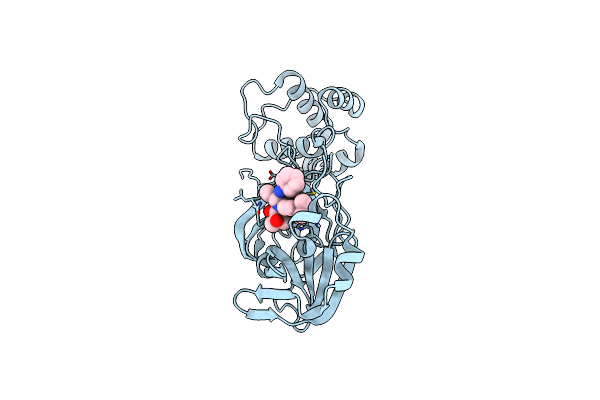 8TPI image