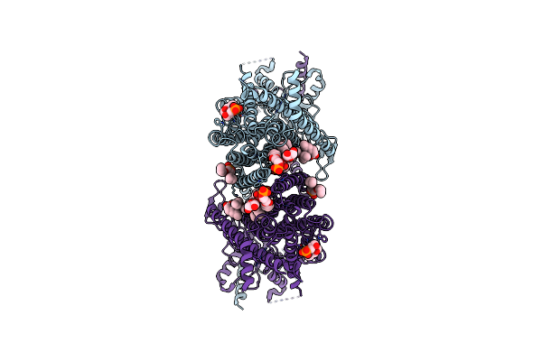 8TPM image