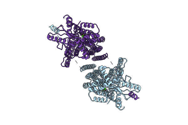 8TPN image