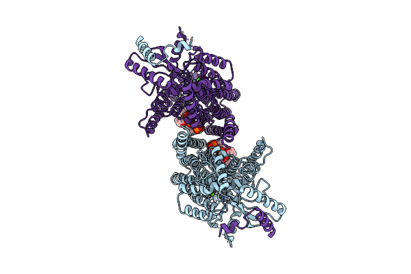 8TPS image