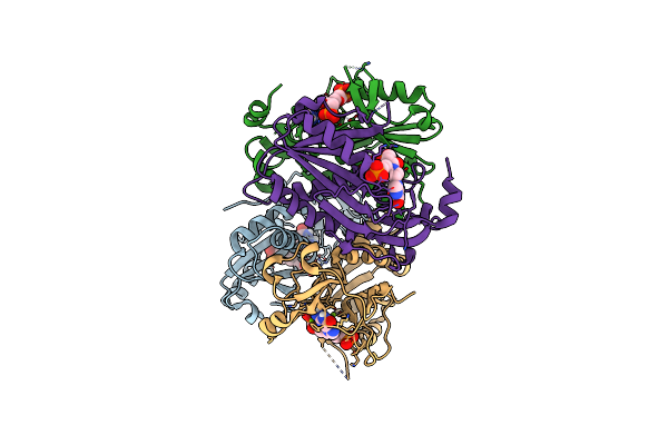 8TPV image