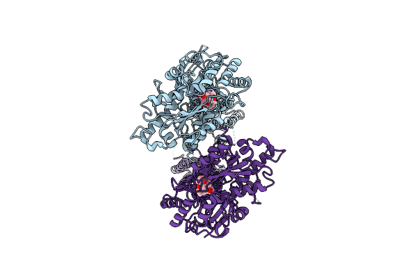 8TRD image