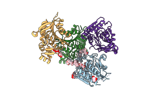 8TRF image