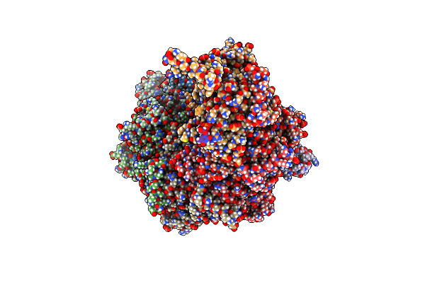 8TRG image