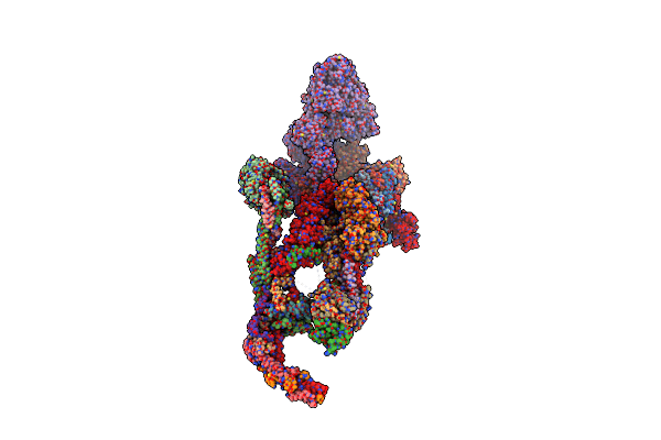 8TRH image