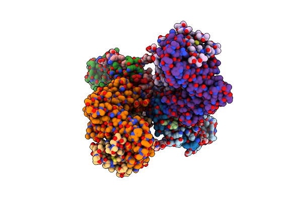 8TRL image