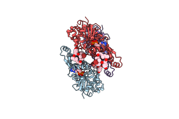 8TRN image
