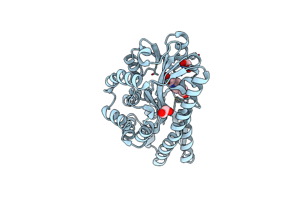 8TRP image