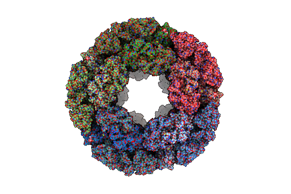 8TRZ image
