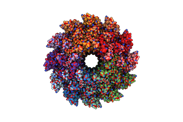 8TS6 image