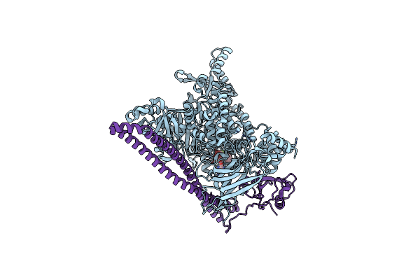 8TSA image