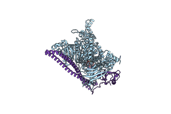 8TSB image