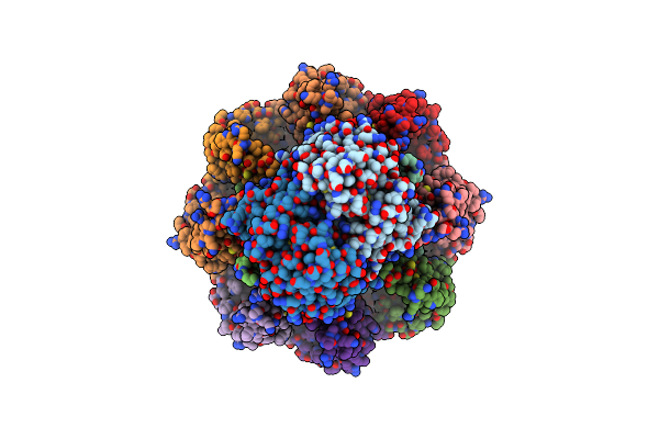8TSI image