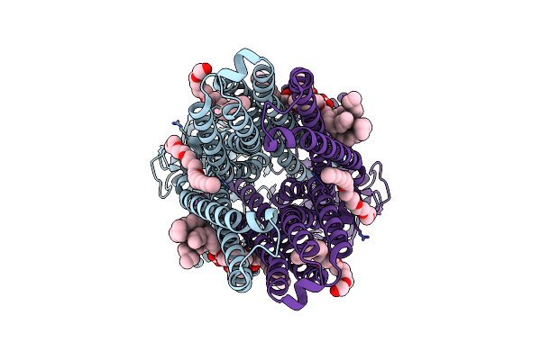8TSO image
