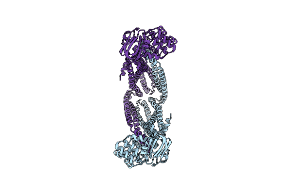 8TSR image