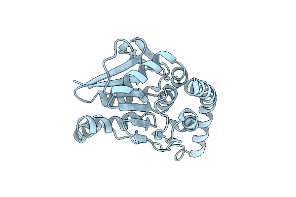 8TSU image