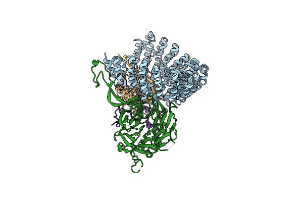 8TTB image