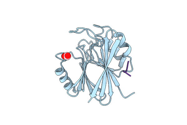 8TTD image