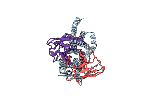 8TTF image